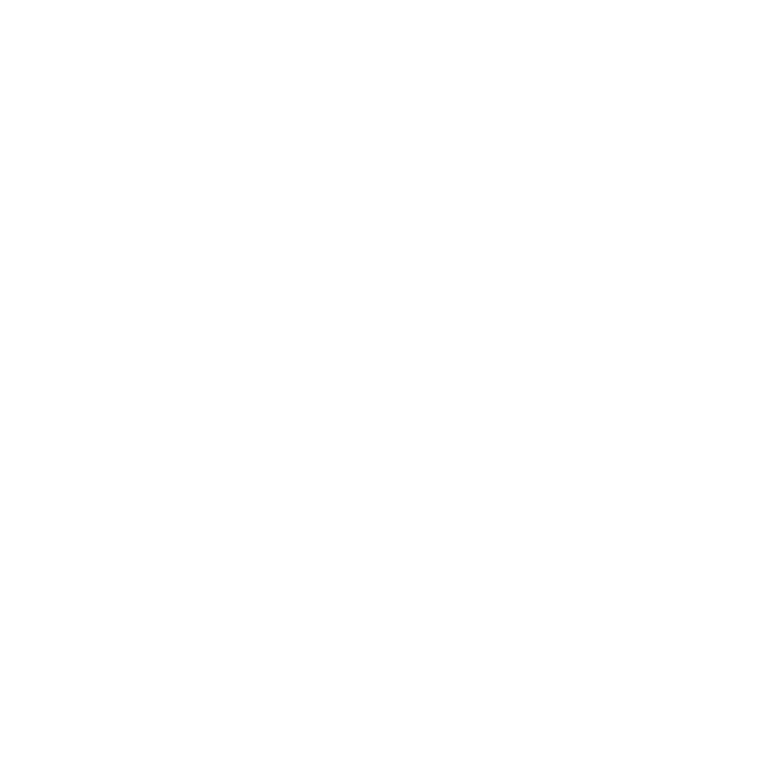 Hillsdale High School Foundation logo with a building and flag inside a circle.